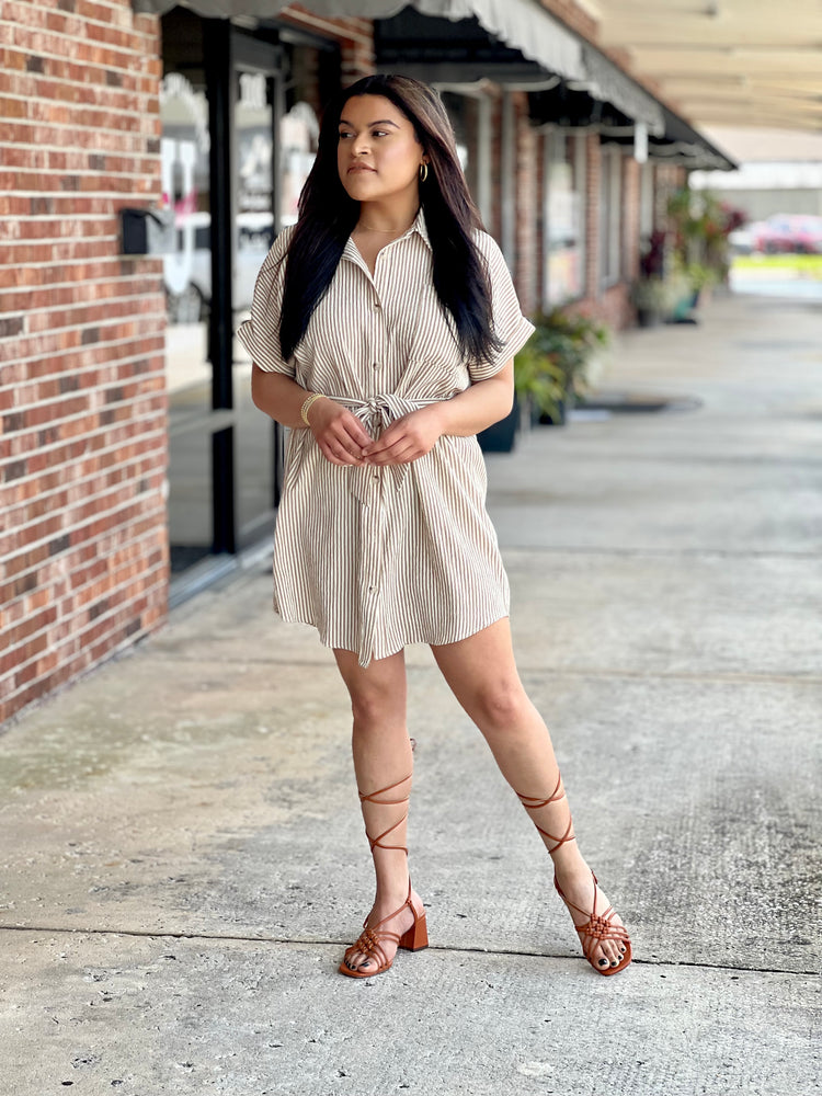 Cream-Taupe Stripe Dress