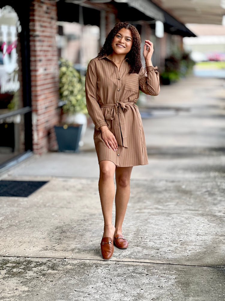 Cocoa Striped Dress